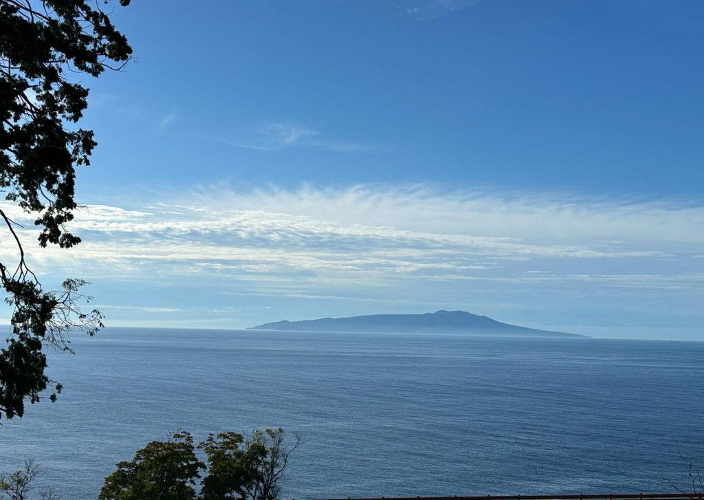 伊豆大島